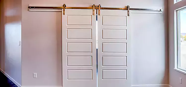 Glass Barn Door with Installation Hardware Kit Douglasville