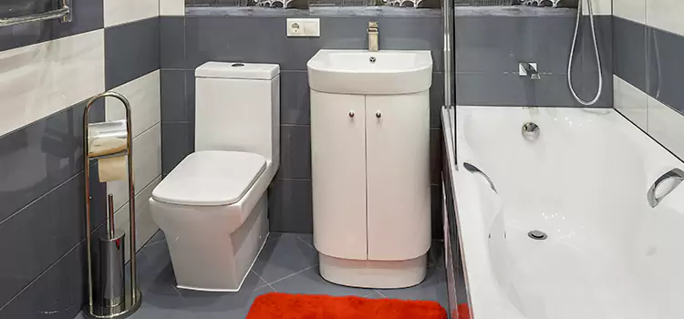 Hansgrohe Shaving Mirror Douglasville
